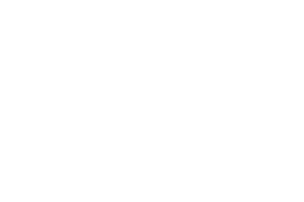 FLAMBOYANT