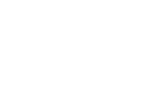 sebrae (1)