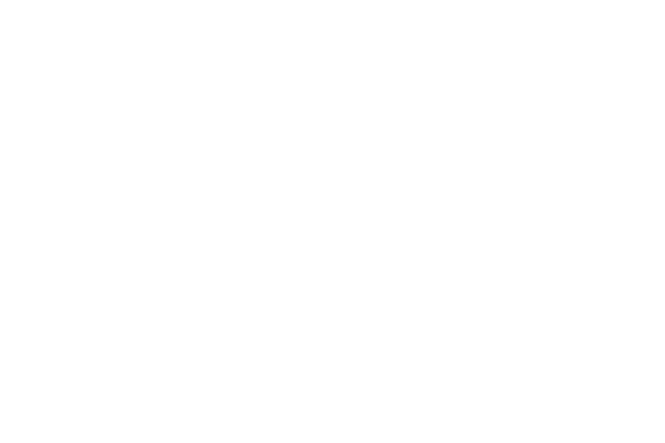 stf (1)